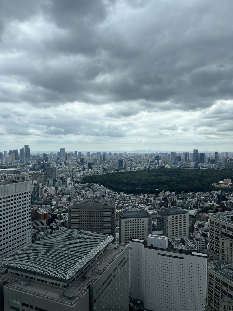 Uitzicht over Tokyo vanaf een hoog gebouw, met een groot bos tussen de wolkenkrabbers onder zware wolken